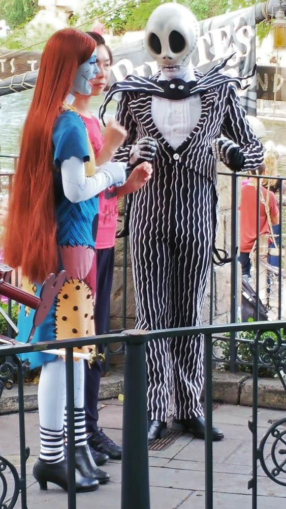 Jack Skellington and Salley from Nightmare before Christmas