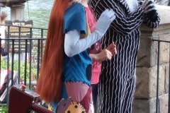 Jack Skellington and Salley from Nightmare before Christmas