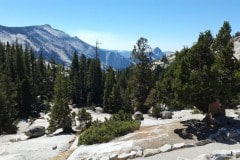 Yosemitee National Park along Tioga pass