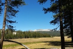 Yosemitee National Park along Tioga pass