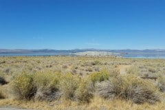 Mono Lake