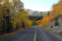 Driving into the Great Basin National Park and finally finding some color at the upper elevations
