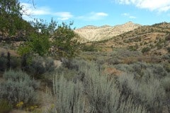 Sego canyon ghost town