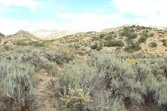 Sego canyon ghost town