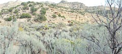 Sego canyon ghost town