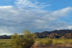 Sunset on the Colorado river south of Lake Havasu