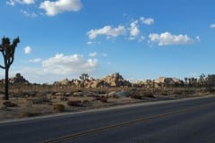 Joshua Tree National Park