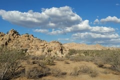 Joshua Tree National Park