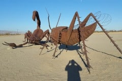 Galleta Meadow sculptures