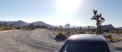 Joshua Tree National Park