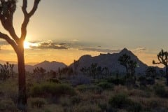 Joshua Tree National Park Boy Scout trail