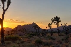 Joshua Tree National Park Boy Scout trail