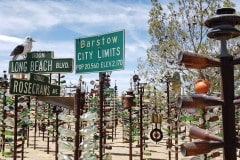 Along Route 66 in Califironia, Elmers Bottle Tree Ranch