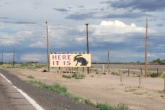 Jack rabbit Arizona along route 66