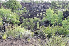 Sunset Crater Volcano national monument