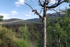 Sunset Crater Volcano national monument