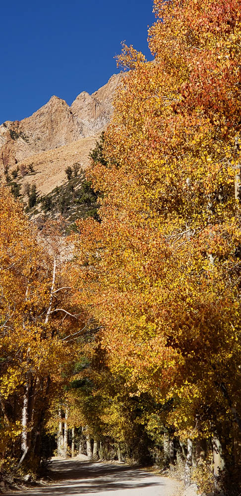 North Lake and autumn color near Bishop