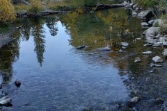 Lake Sabrina area near Bishop