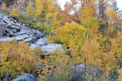 North Lake and autumn color near Bishop