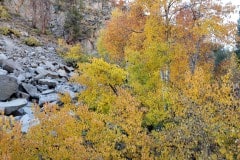 North Lake and autumn color near Bishop