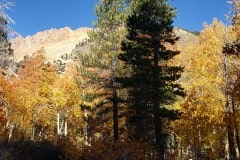 North Lake and autumn color near Bishop