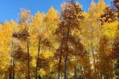 North Lake and autumn color near Bishop