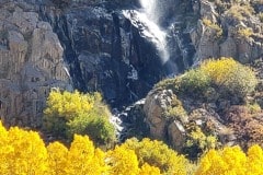 Bishop area