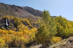 Bishop area
