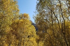 June Lake area