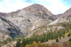 Heading up to the Tioga Pass from Lee Vining