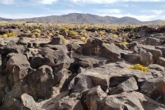 Fossil Falls