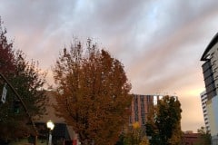 Downtown Portland, Oregon