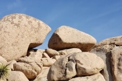 Joshua Tree National Park