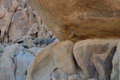 Joshua Tree National Park