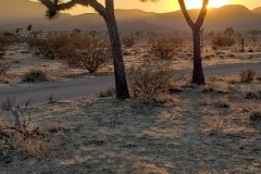 Joshua Tree National Park