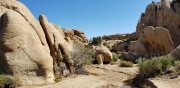 Joshua Tree National Park