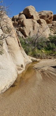 Joshua Tree National Park