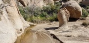 Joshua Tree National Park