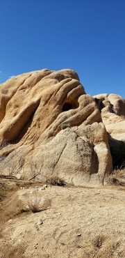 Joshua Tree National Park