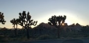 Joshua Tree National Park