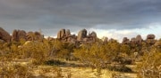 Joshua Tree National Park