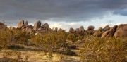 Joshua Tree National Park
