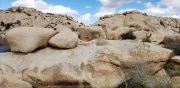 Joshua Tree National Park