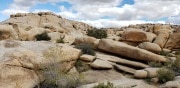 Joshua Tree National Park