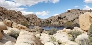 Joshua Tree National Park