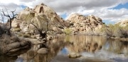 Joshua Tree National Park
