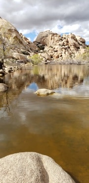 Joshua Tree National Park