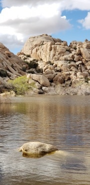 Joshua Tree National Park