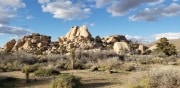 Joshua Tree National Park