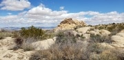 Joshua Tree National Park